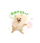 みるちゃん♡すたんぷ（個別スタンプ：3）