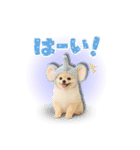 みるちゃん♡すたんぷ（個別スタンプ：5）