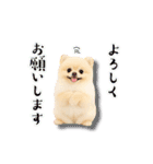 みるちゃん♡すたんぷ（個別スタンプ：6）