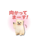 みるちゃん♡すたんぷ（個別スタンプ：9）
