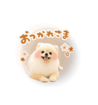 みるちゃん♡すたんぷ（個別スタンプ：10）