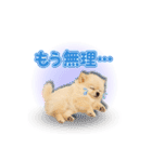 みるちゃん♡すたんぷ（個別スタンプ：13）