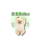 みるちゃん♡すたんぷ（個別スタンプ：14）