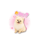 みるちゃん♡すたんぷ（個別スタンプ：19）