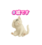 白い野良猫のスタンプ（日本語ver.）（個別スタンプ：4）