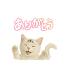 白い野良猫のスタンプ（日本語ver.）（個別スタンプ：11）