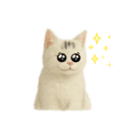 白い野良猫のスタンプ（日本語ver.）（個別スタンプ：14）