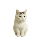 白い野良猫のスタンプ（日本語ver.）（個別スタンプ：21）