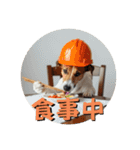 小型犬ジャックラッセルテリア現場編（個別スタンプ：3）