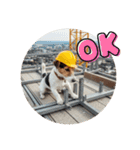 小型犬ジャックラッセルテリア現場編（個別スタンプ：5）