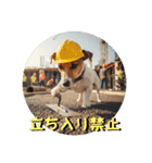 小型犬ジャックラッセルテリア現場編（個別スタンプ：6）