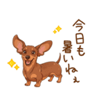 癒しの毎日♪ミニチュアダックスの気持ち（個別スタンプ：3）
