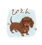癒しの毎日♪ミニチュアダックスの気持ち（個別スタンプ：4）