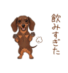 癒しの毎日♪ミニチュアダックスの気持ち（個別スタンプ：7）