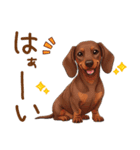 癒しの毎日♪ミニチュアダックスの気持ち（個別スタンプ：9）
