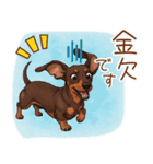 癒しの毎日♪ミニチュアダックスの気持ち（個別スタンプ：10）