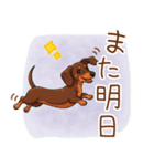 癒しの毎日♪ミニチュアダックスの気持ち（個別スタンプ：14）