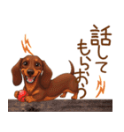 癒しの毎日♪ミニチュアダックスの気持ち（個別スタンプ：17）