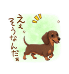 癒しの毎日♪ミニチュアダックスの気持ち（個別スタンプ：21）