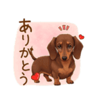 癒しの毎日♪ミニチュアダックスの気持ち（個別スタンプ：23）