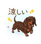 癒しの毎日♪ミニチュアダックスの気持ち（個別スタンプ：24）