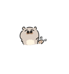 はちのじまゆげのたぬき（個別スタンプ：16）
