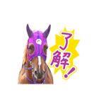 走れ！キュータロー（個別スタンプ：3）