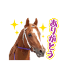 走れ！キュータロー（個別スタンプ：4）