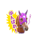 走れ！キュータロー（個別スタンプ：12）