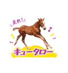 走れ！キュータロー（個別スタンプ：16）