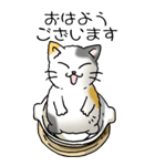 にゃんこどなべ その1（個別スタンプ：1）