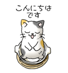 にゃんこどなべ その1（個別スタンプ：2）