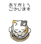 にゃんこどなべ その1（個別スタンプ：5）