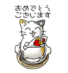 にゃんこどなべ その1（個別スタンプ：6）