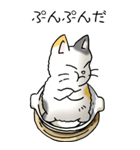 にゃんこどなべ その1（個別スタンプ：10）