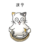 にゃんこどなべ その1（個別スタンプ：13）