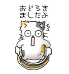 にゃんこどなべ その1（個別スタンプ：14）