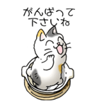 にゃんこどなべ その1（個別スタンプ：17）