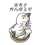 にゃんこどなべ その1（個別スタンプ：18）