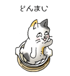 にゃんこどなべ その1（個別スタンプ：19）