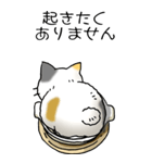 にゃんこどなべ その1（個別スタンプ：22）