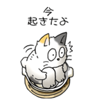 にゃんこどなべ その1（個別スタンプ：24）