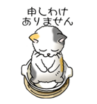 にゃんこどなべ その1（個別スタンプ：25）