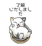 にゃんこどなべ その1（個別スタンプ：29）
