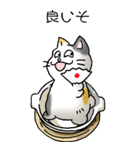 にゃんこどなべ その1（個別スタンプ：30）