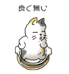 にゃんこどなべ その1（個別スタンプ：31）