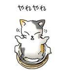 にゃんこどなべ その1（個別スタンプ：33）