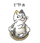 にゃんこどなべ その1（個別スタンプ：34）