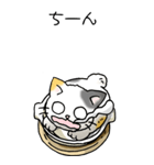 にゃんこどなべ その1（個別スタンプ：35）