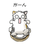 にゃんこどなべ その1（個別スタンプ：36）